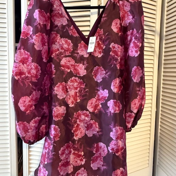 Anthropologie BHLDN Aliana Long-Sleeve V-Neck Floral Organza Mini Dress - Picture 4 of 6